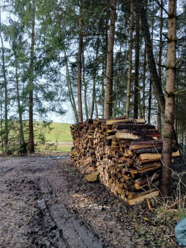 Viel Holz hilft viel