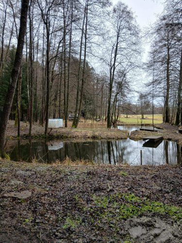 Unser kleiner Weiher